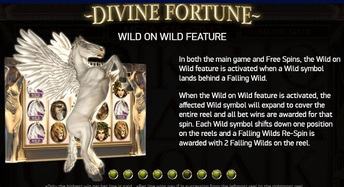 Wild on Wild
